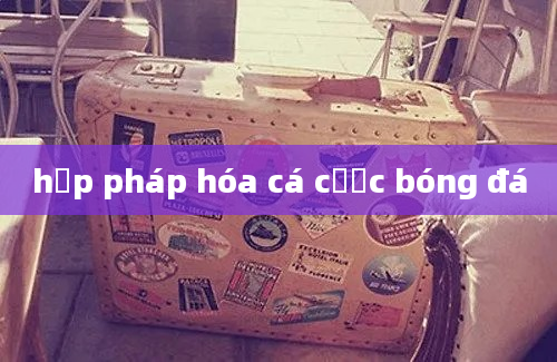 hợp pháp hóa cá cược bóng đá