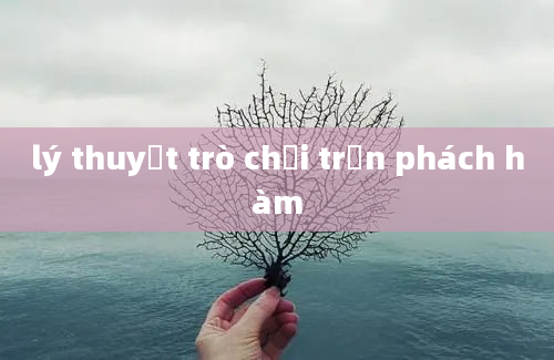 lý thuyết trò chơi trần phách hàm