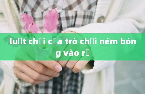 luật chơi của trò chơi ném bóng vào rổ