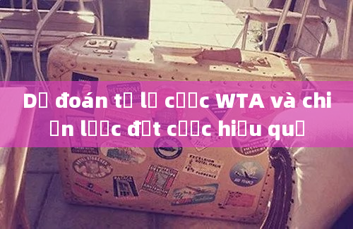 Dự đoán tỉ lệ cược WTA và chiến lược đặt cược hiệu quả