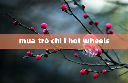 mua trò chơi hot wheels