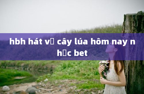 hbh hát về cây lúa hôm nay nhạc bet