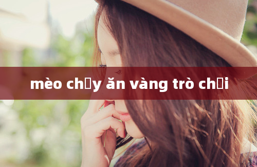 mèo chạy ăn vàng trò chơi