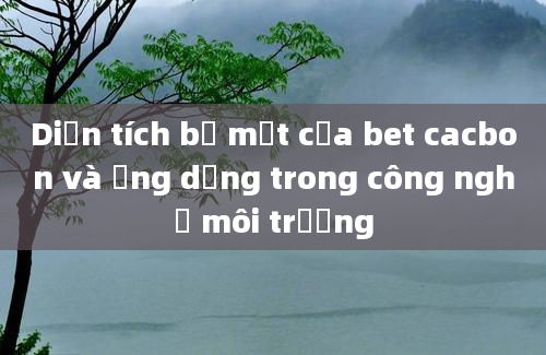 Diện tích bề mặt của bet cacbon và ứng dụng trong công nghệ môi trường