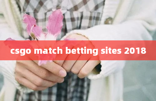 csgo match betting sites 2018