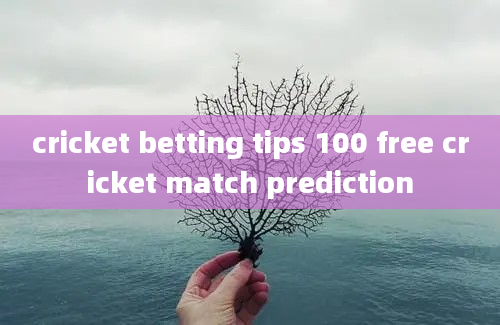 cricket betting tips 100 free cricket match prediction