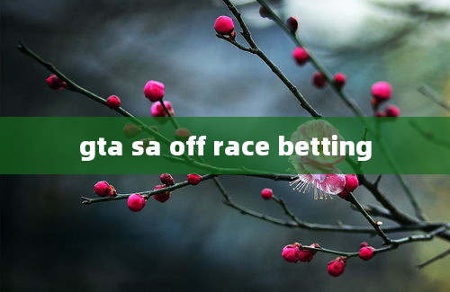 gta sa off race betting