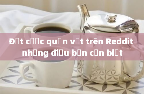 Đặt cược quần vợt trên Reddit những điều bạn cần biết