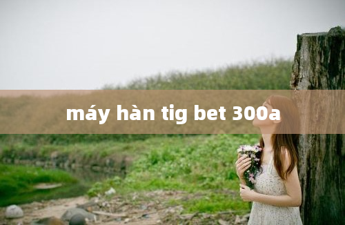 máy hàn tig bet 300a