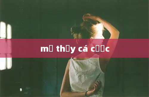 mơ thấy cá cược