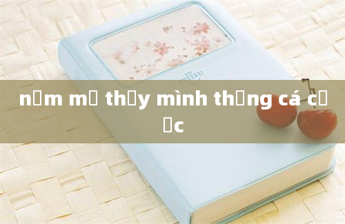 nằm mơ thấy mình thắng cá cược