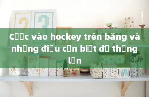 Cược vào hockey trên băng và những điều cần biết để thắng lớn