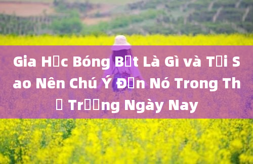 Gia Hạc Bóng Bết Là Gì và Tại Sao Nên Chú Ý Đến Nó Trong Thị Trường Ngày Nay