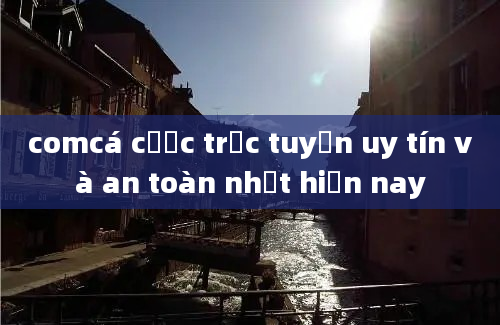 comcá cược trực tuyến uy tín và an toàn nhất hiện nay