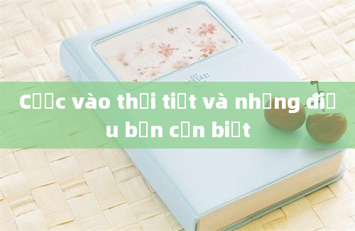 Cược vào thời tiết và những điều bạn cần biết