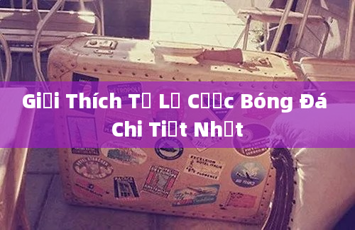 Giải Thích Tỷ Lệ Cược Bóng Đá Chi Tiết Nhất