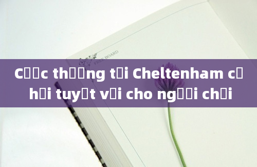 Cược thưởng tại Cheltenham cơ hội tuyệt vời cho người chơi