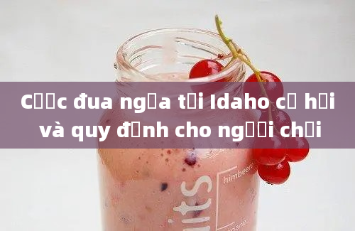 Cược đua ngựa tại Idaho cơ hội và quy định cho người chơi