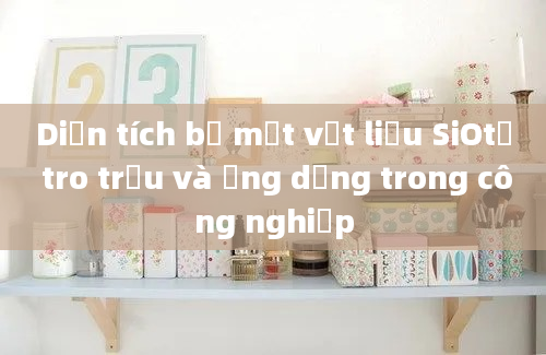 Diện tích bề mặt vật liệu SiOtừ tro trấu và ứng dụng trong công nghiệp