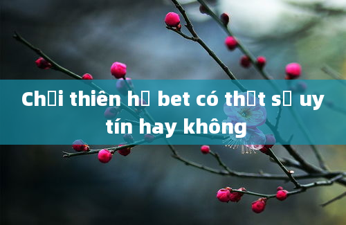 Chơi thiên hạ bet có thật sự uy tín hay không