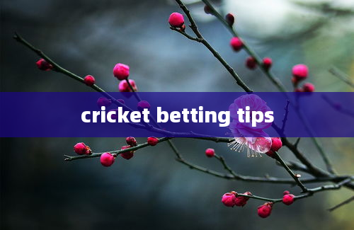 cricket betting tips