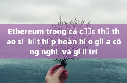 Ethereum trong cá cược thể thao sự kết hợp hoàn hảo giữa công nghệ và giải trí