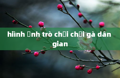 hiình ảnh trò chơi chọi gà dân gian