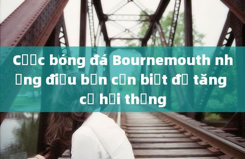 Cược bóng đá Bournemouth những điều bạn cần biết để tăng cơ hội thắng