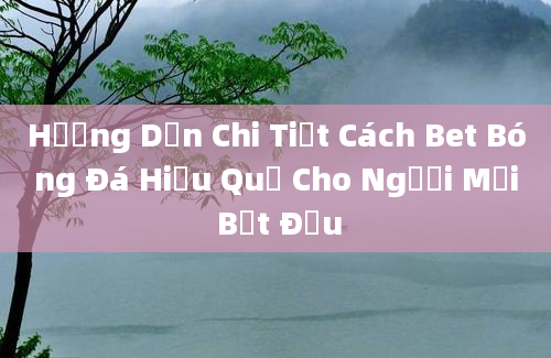 Hướng Dẫn Chi Tiết Cách Bet Bóng Đá Hiệu Quả Cho Người Mới Bắt Đầu