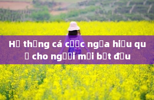 Hệ thống cá cược ngựa hiệu quả cho người mới bắt đầu