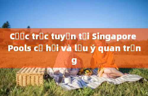 Cược trực tuyến tại Singapore Pools cơ hội và lưu ý quan trọng