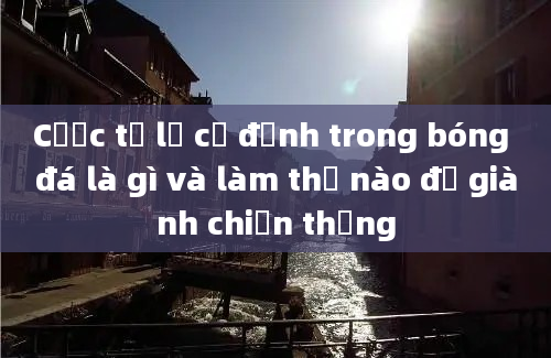 Cược tỷ lệ cố định trong bóng đá là gì và làm thế nào để giành chiến thắng