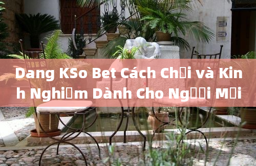 Dang KSo Bet Cách Chơi và Kinh Nghiệm Dành Cho Người Mới