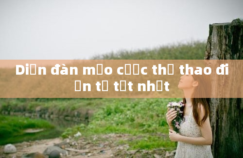 Diễn đàn mẹo cược thể thao điện tử tốt nhất