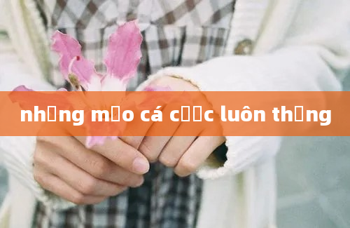 những mẹo cá cược luôn thắng