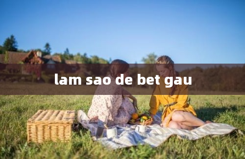 lam sao de bet gau