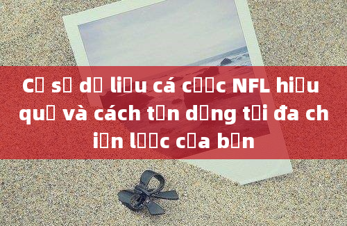 Cơ sở dữ liệu cá cược NFL hiệu quả và cách tận dụng tối đa chiến lược của bạn