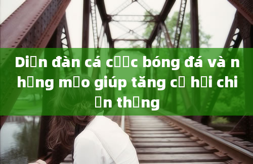 Diễn đàn cá cược bóng đá và những mẹo giúp tăng cơ hội chiến thắng