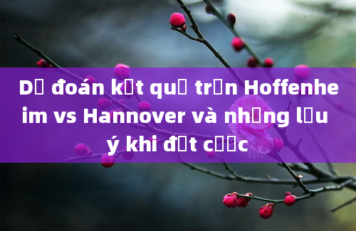 Dự đoán kết quả trận Hoffenheim vs Hannover và những lưu ý khi đặt cược