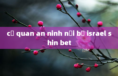 cơ quan an ninh nội bộ israel shin bet