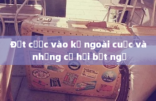 Đặt cược vào kẻ ngoài cuộc và những cơ hội bất ngờ