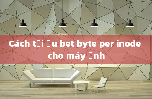 Cách tối ưu bet byte per inode cho máy ảnh