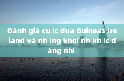 Đánh giá cuộc đua Guineas Ireland và những khoảnh khắc đáng nhớ