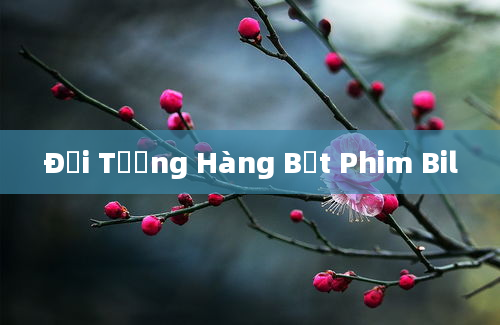 Đối Tượng Hàng Bắt Phim Bil