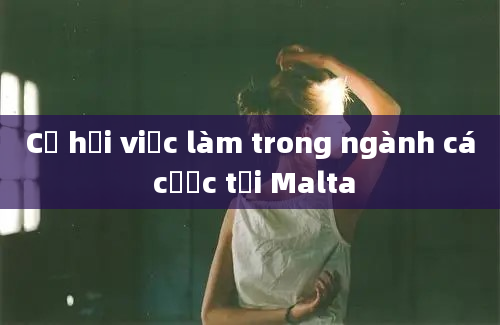 Cơ hội việc làm trong ngành cá cược tại Malta