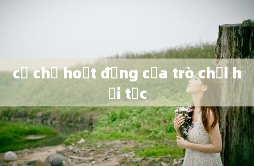 cơ chế hoạt động của trò chơi hải tặc