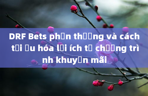 DRF Bets phần thưởng và cách tối ưu hóa lợi ích từ chương trình khuyến mãi