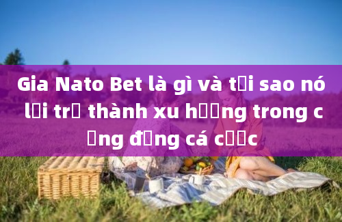 Gia Nato Bet là gì và tại sao nó lại trở thành xu hướng trong cộng đồng cá cược