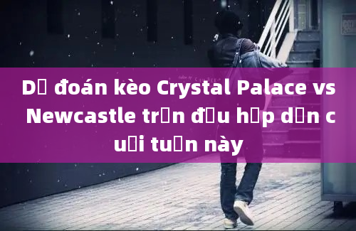 Dự đoán kèo Crystal Palace vs Newcastle trận đấu hấp dẫn cuối tuần này