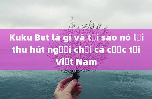 Kuku Bet là gì và tại sao nó lại thu hút người chơi cá cược tại Việt Nam